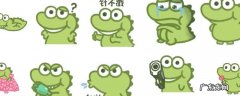 抹茶旦旦到底是什么 抹茶旦旦到底是什么动物