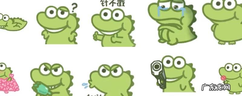 抹茶旦旦到底是什么 抹茶旦旦到底是什么动物