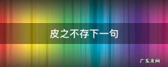 皮之不存下一句怎么说 皮之不存下一句