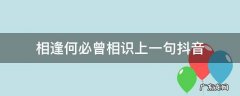 相逢何必曾相识上一句抖音 相逢何必曾相识 抖音