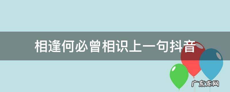 相逢何必曾相识上一句抖音 相逢何必曾相识 抖音