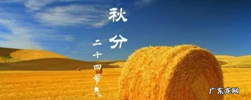 秋分代表什么 秋分代表什么节气
