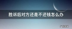 胜诉后对方还是不还钱怎么办?过了三年 胜诉后对方还是不还钱怎么办