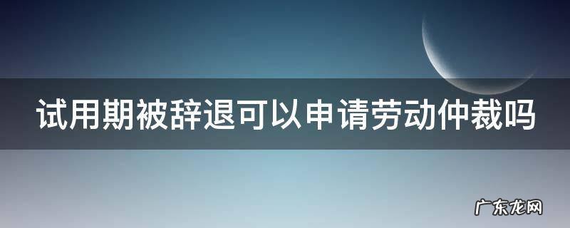 试用期被辞退可以申请劳动仲裁吗法院 试用期被辞退可以申请劳动仲裁吗