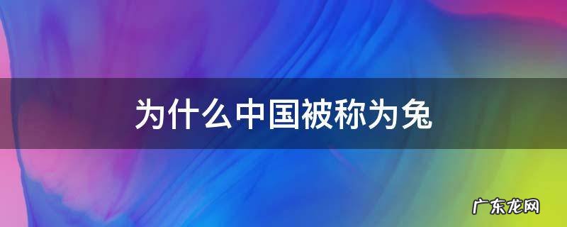 为什么中国被称为兔 为什么中国被称为兔子英国被称为牛