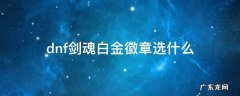 dnf剑魂白金徽章选什么 dnf剑魂白金徽章选什么2022