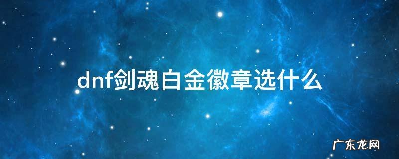 dnf剑魂白金徽章选什么 dnf剑魂白金徽章选什么2022