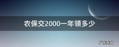 农保交2000一年领多少钱 农保交2000一年领多少