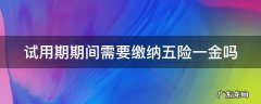 试用期期间需要缴纳五险一金吗 试用期期间需要缴纳五险一金吗