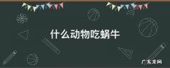 什么吃蜗牛什么动物吃蜗牛 什么动物吃蜗牛