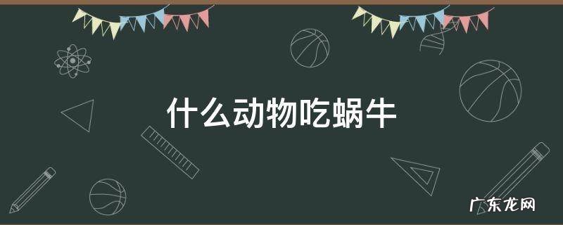 什么吃蜗牛什么动物吃蜗牛 什么动物吃蜗牛