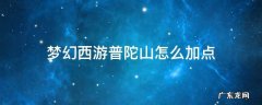 梦幻西游普陀山怎么加点 2022梦幻西游普陀山怎么加点