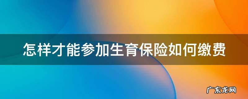 怎样才能参加生育保险如何缴费 怎么参保生育保险