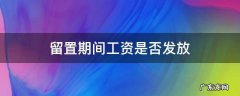 留置期间工资如何发放 留置期间工资是否发放