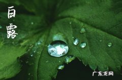 2023白露是几月几日星期几