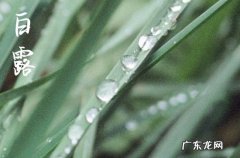 2023年白露过后算农历8月吗
