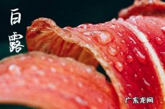 2023白露节气是几月几日开始