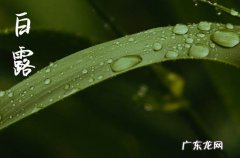 2023年白露哪天时间