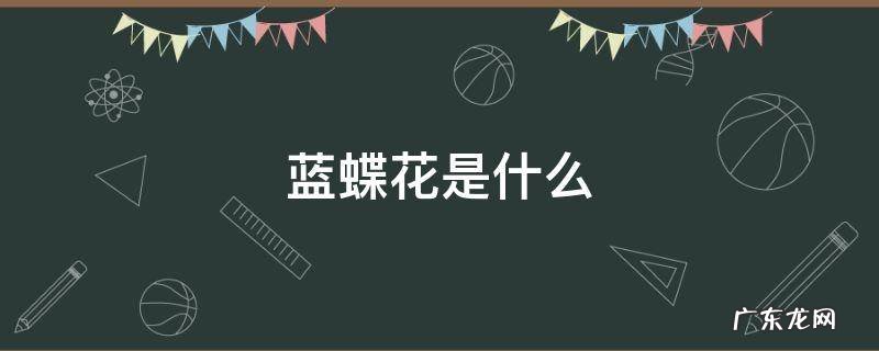 蓝蝶花是什么样子的 蓝蝶花是什么