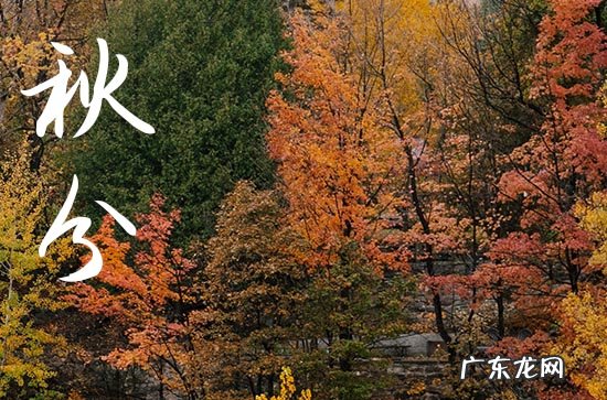 2023年秋分放假几天 2023年秋分放假通知