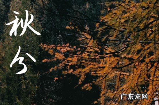 2023农历秋分是哪一天 2023年的秋分是农历什么时候