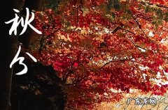 秋分到来预示着什么 2023秋分养生吃什么食物