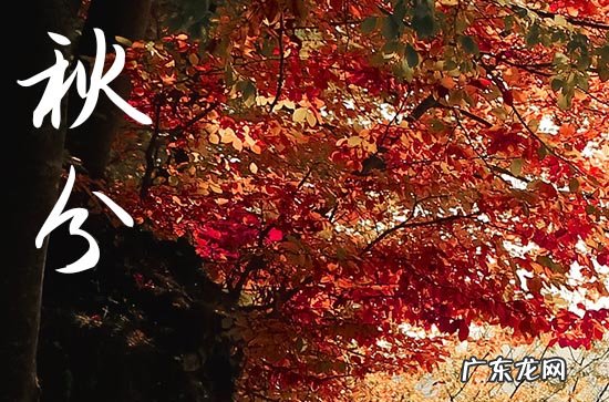 秋分到来预示着什么 2023秋分养生吃什么食物