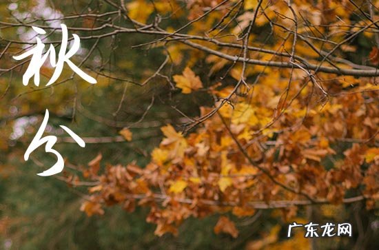 2023年秋分之后还热不热了 秋分后一般温度是多少