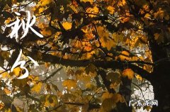 2023秋分是中秋节吗 今年秋分和中秋同一天吗