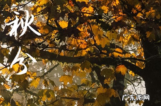 2023秋分是中秋节吗 今年秋分和中秋同一天吗
