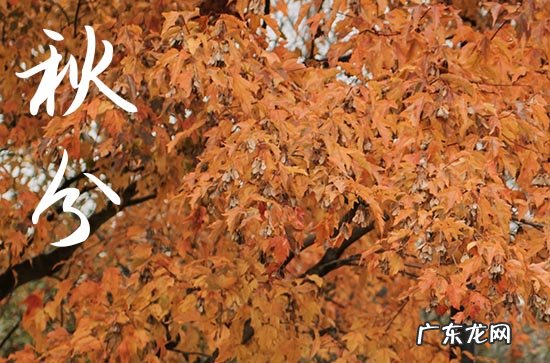 2023秋分几点几分 2023秋分是什么时候