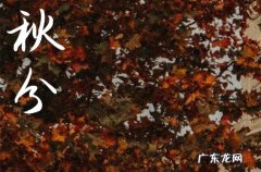 2023秋分饮食吃什么好 秋分吃石榴有助身体健康