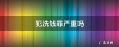有洗钱罪吗? 犯洗钱罪严重吗