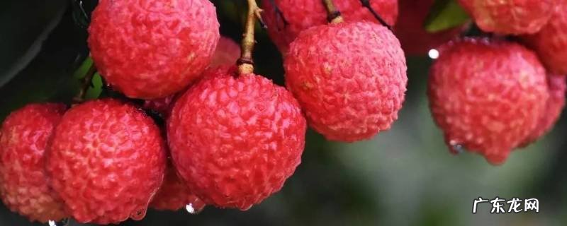 荔枝吃起来一股汽油味 荔枝有汽油味怎么回事