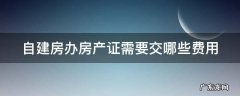 自建房办房产证需要交哪些费用 开发商不给办房产证怎么办