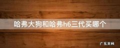 哈弗大狗和哈弗h6三代买哪个 哈弗大狗和三代h6哪个值得买