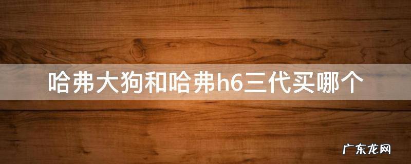 哈弗大狗和哈弗h6三代买哪个 哈弗大狗和三代h6哪个值得买
