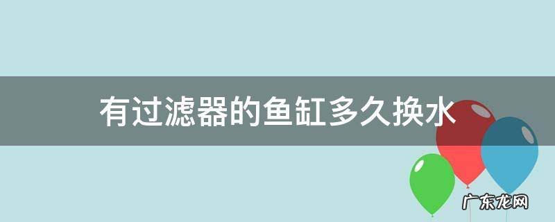 有滤水器的鱼缸多久换一次水 有过滤器的鱼缸多久换水