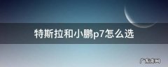 特斯拉和小鹏p7怎么选 特斯拉3和小鹏p7怎么选