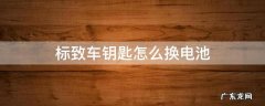 标致车钥匙怎么换电池? 标致车钥匙怎么换电池
