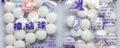 樟脑丸可以驱什么虫子 樟脑丸可以驱哪些虫子