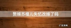 赘婿苏檀儿失忆改嫁了吗 赘婿小说苏檀儿失忆改嫁了吗