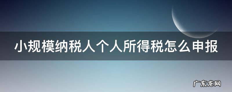 小规模纳税人个人所得税怎么申报 小规模纳税人个人所得税怎么申报怎么交