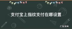 支付宝指纹设置在哪里 支付宝上指纹支付在哪设置