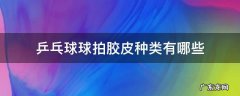 乒乓球球拍胶皮种类有哪些 乒乓球球拍的胶皮种类
