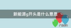 g开头的新能源车 新能源g开头是什么意思