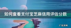 芝麻信用评估怎么看 如何查看支付宝芝麻信用评估分数
