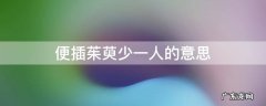 便插茱萸少一人的意思 遍插茱萸少一人