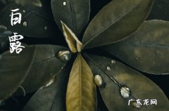 2023年白露适合结婚吗 2023年白露可不可以结婚