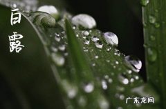 2023白露后多久开始冷 2023白露节气一般气温多少度